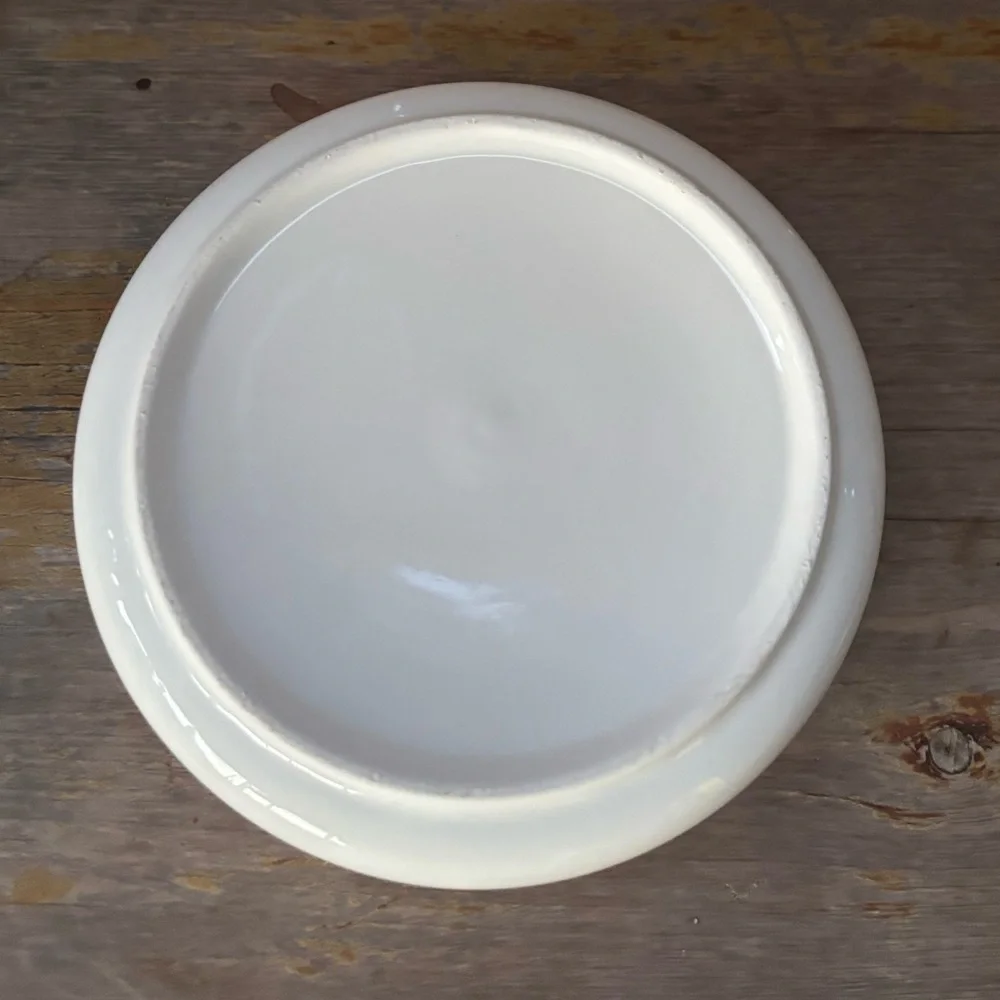 Honest Goods 3D Green Sea Turtle Pet Water Bowl 6 1/4”W